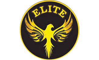 The image displays a logo with a stylized eagle emblem on the left side, accompanied by text that reads  ELITE  in capital letters.